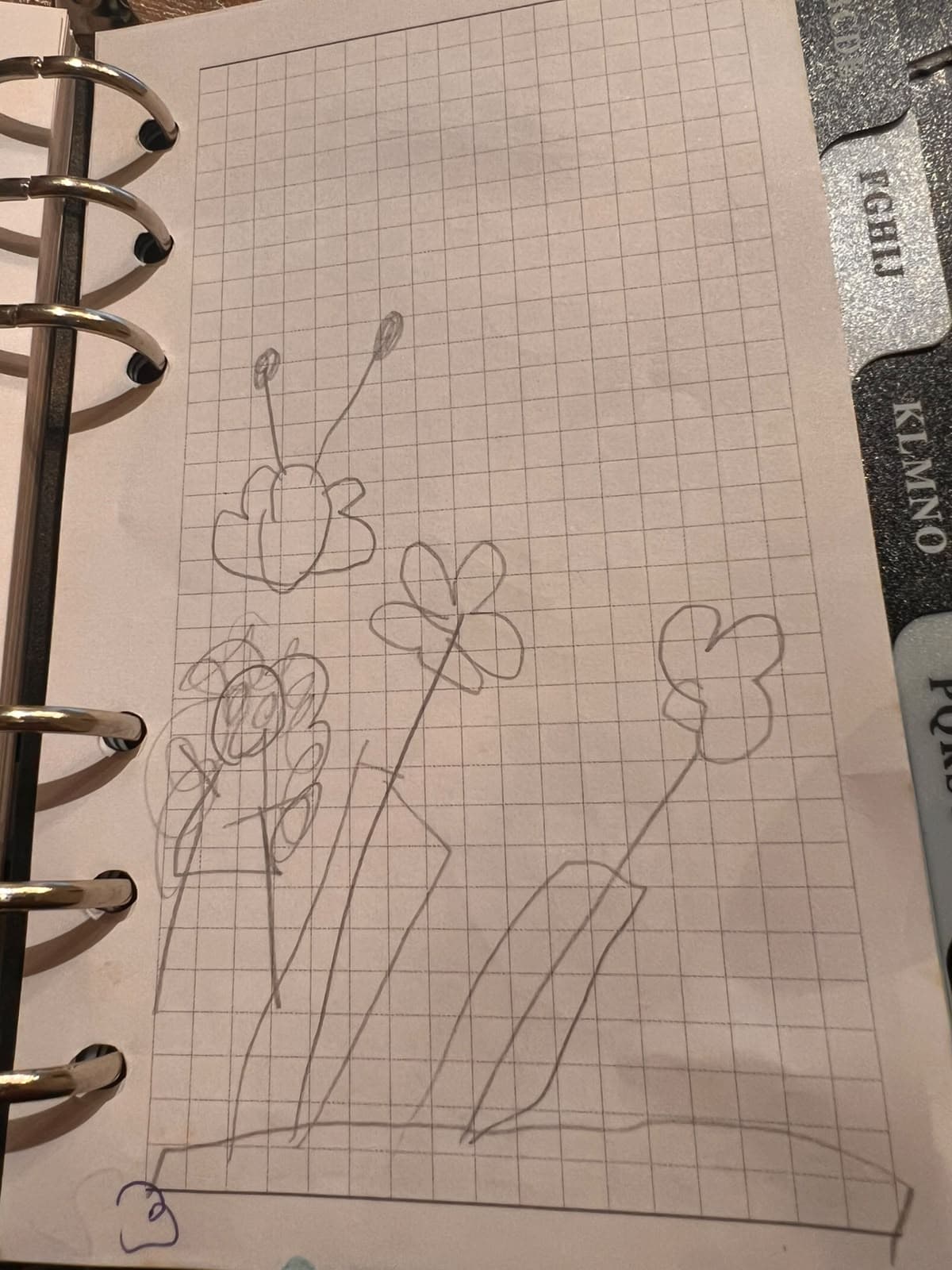 Desenho original da cena 3: Lá, ela viu várias flores e borboletas.